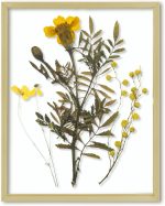 Floating Picture Frame 11x14 - Gold Aluminum Metal Photo Frame - Real Glass of Front - for Wall Mount Displays