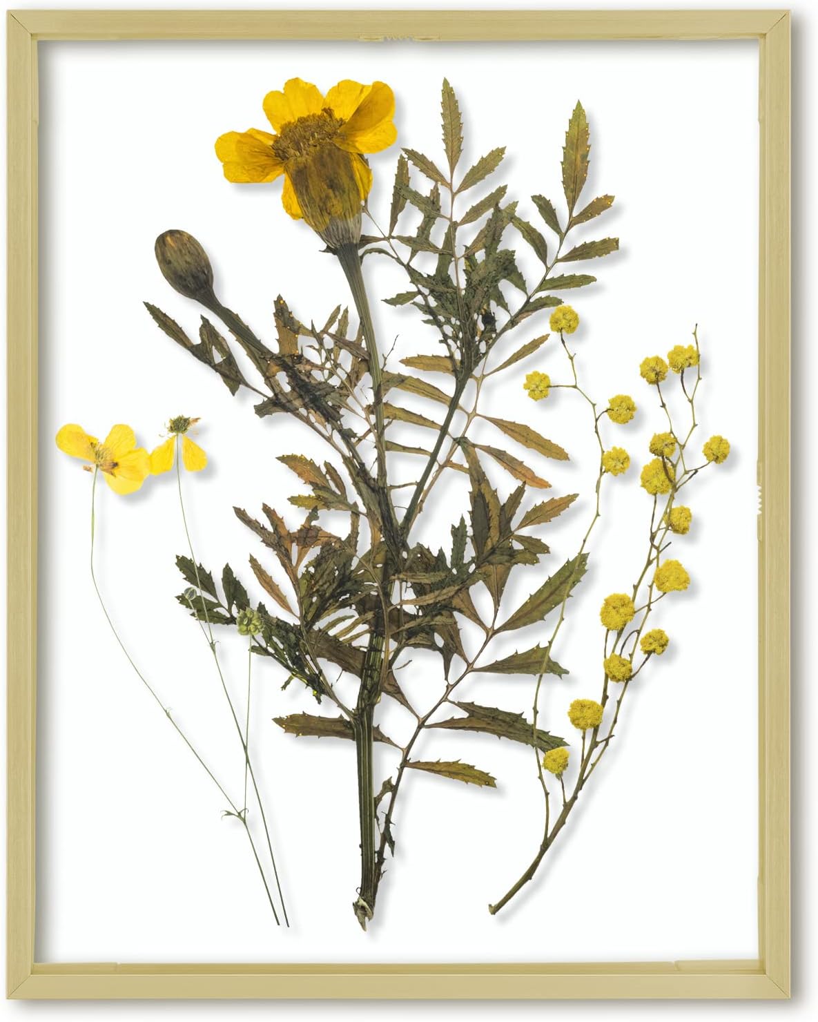 71aA6MR08jL._AC_SL1500_.jpg Floating Picture Frame 11x14 - Gold Aluminum Metal Photo Frame - Real Glass of Front - for Wall Mount Displays - Image 1
